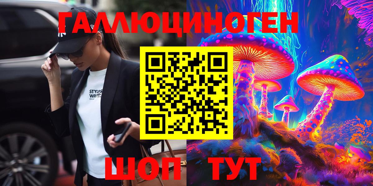 Галлюциногенные грибы Psilocybe Минусинск