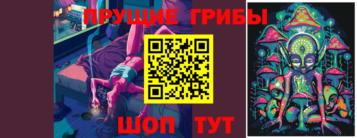 Минусинск  Псилоцибиновые грибы прущие грибы  Вход с VPN 
